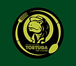 Tortuga cafe post -1.png