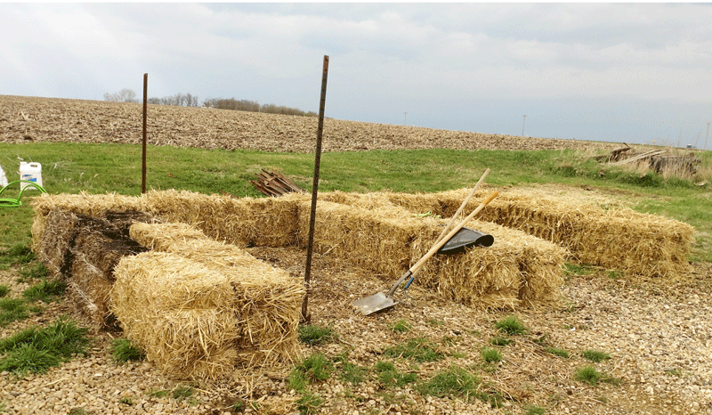 Straw bale garden