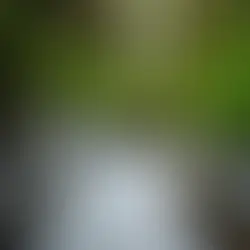 Emotional Regulation and the Power of the Vagus Nerve