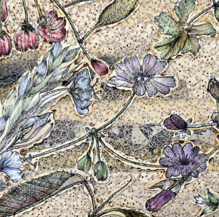 Flowers . Toad Lily.