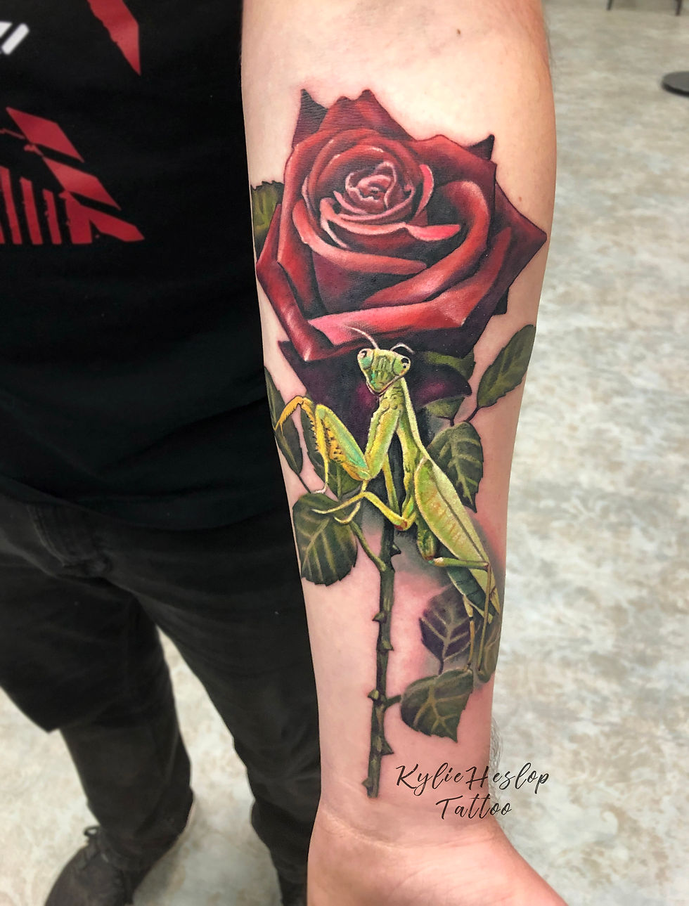 Praying mantis insect tattoo on forearm 