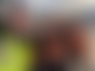 🚮 Behind the Scenes at Haringey’s Waste Depot