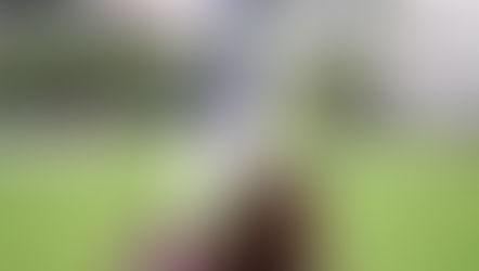 EP.131獅子山錦標無睇頭 引入南美馬要研究