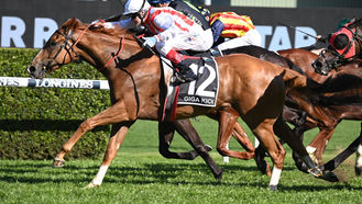 好馬難過馬會關 明星馬主無特權