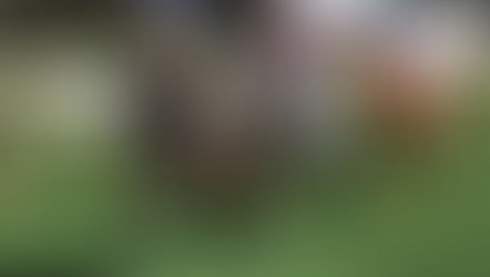 EP.96「勇創派對」