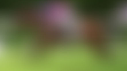 EP.92 馬場現播毒驚魂 董事速決勝政府