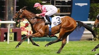 EP.115「駟跑得」