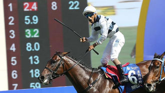 EP.42 季尾三歲馬show time