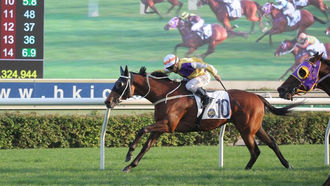 EP.133「東方飛影」