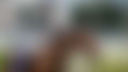 EP.13 情人節適逢賀年盃