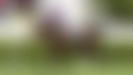 EP.82「天池怪俠」