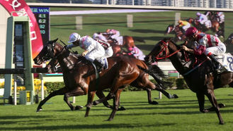 EP.64 「獨角寶寶」