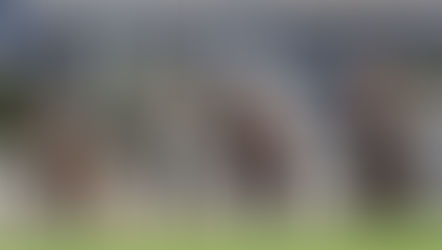 EP.124 泥草混合夜賽少有 只為五班特別救亡