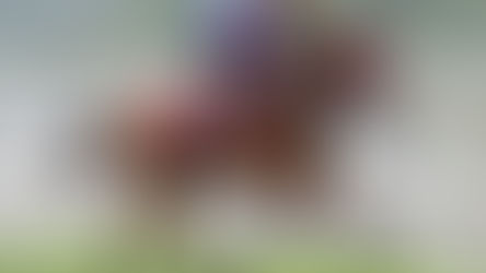 EP.15 入投注站可否安心出行?