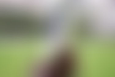 EP.68 賭馬就是跟紅頂白架喇!