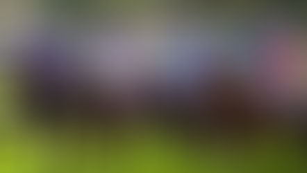 EP.29 「明欣賞」