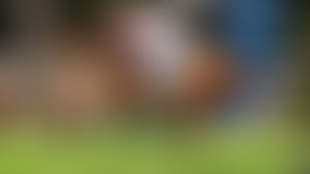 EP.112「順意寶」