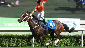 EP.52 大把盃仔捧