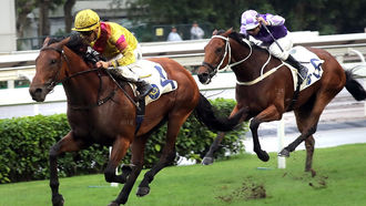 EP.36 藥箱變成首飾箱的馬