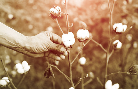 Mechanix solves critical issues facing our clients