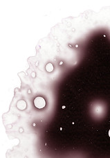 BLOODLINE_COLOUR_1.jpg