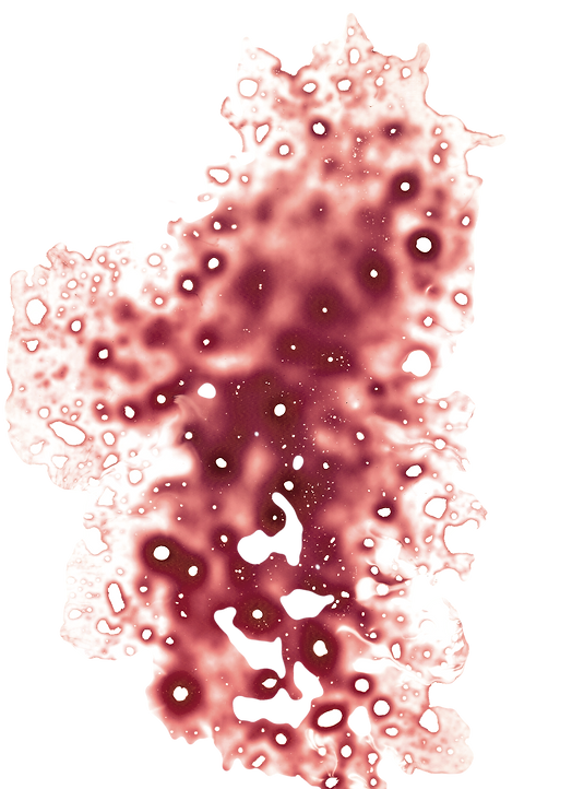 amoc_colour_1_edited_edited_edited.png