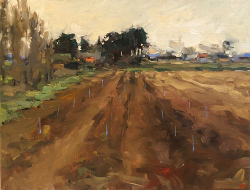 Australian artist, modern australian artist, modern female artist, contemporary australian artist, impressionism australia, plein air australia, plein air painting, impressionist, Australian Female artist, Jennifer Fyfe, contemporary female artist, painting of working farm in morning, painting of sun over countryside, rich soil oil painting, painting of rich earth, painting of farm, plein air painting, plein air artist, Australia plein air, painting of morning sunshine over farm, oil painting of peaceful country scene, Australian oil painting, Australian countryside, morning Australian farm, furrows morning light, plowed fields morning light, warm sunlight, morning sunrise, morning over fields, daybreak over plowed land, soft light in morning, sunrise over farm, sunrise over fields