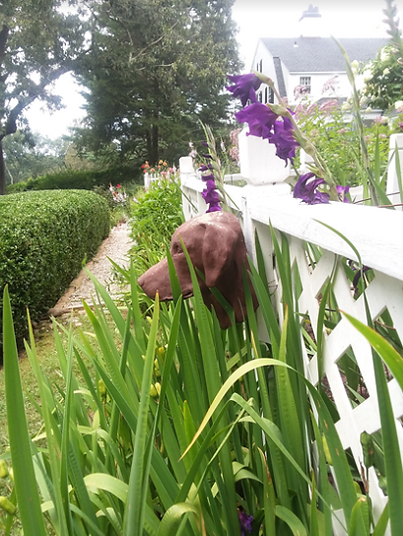 Garden Club Pic.PNG