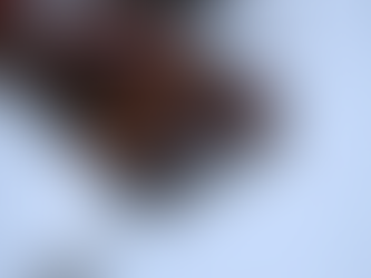 Voice Search: Why You Need It And How to Optimize Your Website For It!