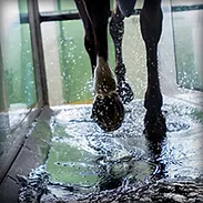 WATER TREAD THUMB.webp