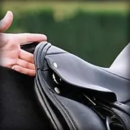 saddle fitting.webp