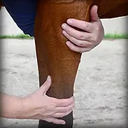 LYMPH DRAINAGE.webp