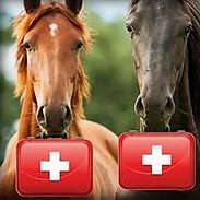 FIRST AID THUMB.webp