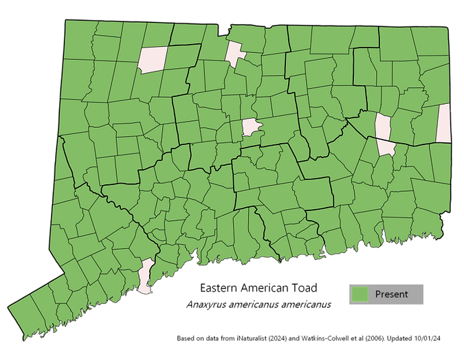 Eastern American Toad.png