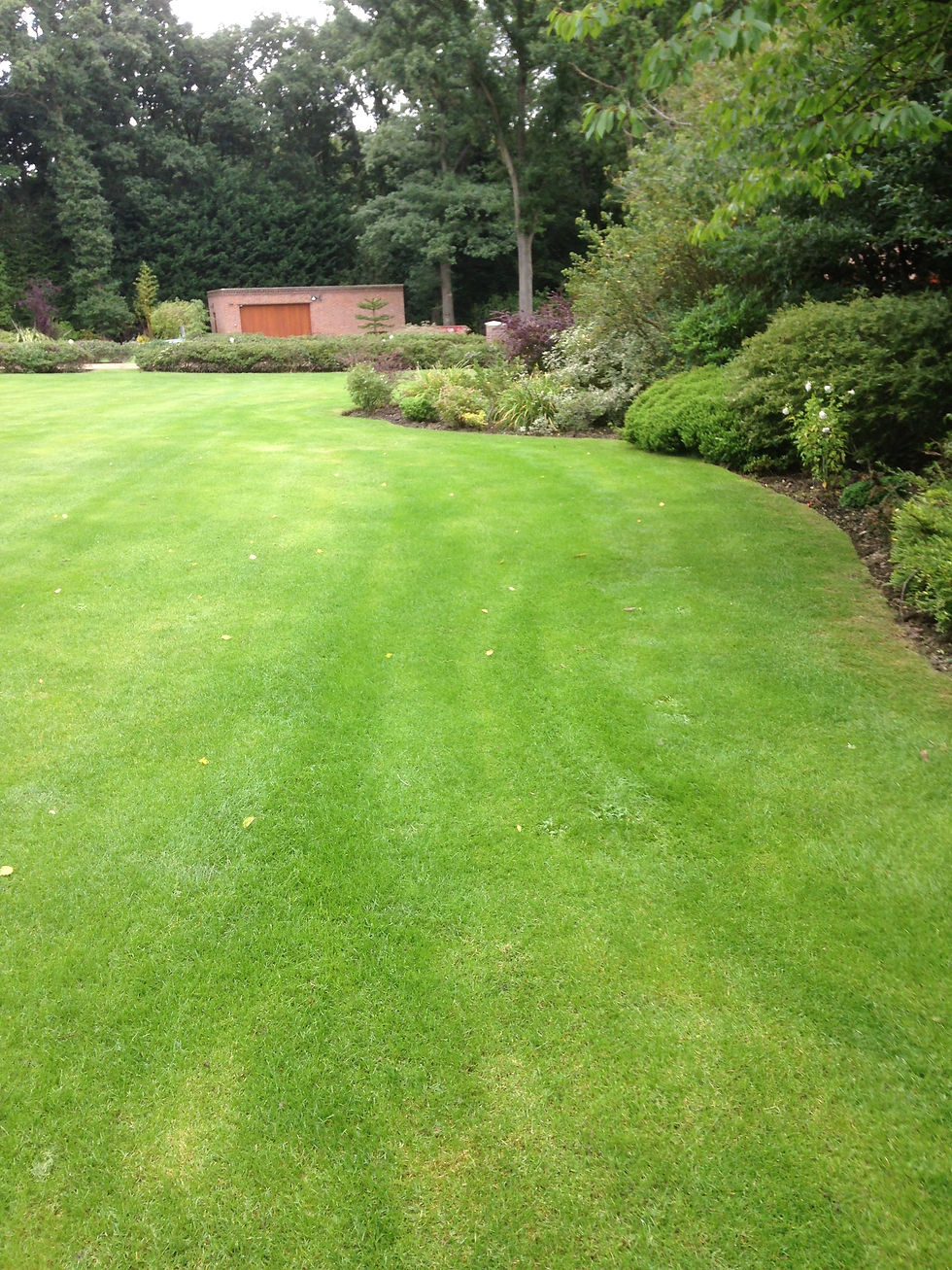 Garden edging