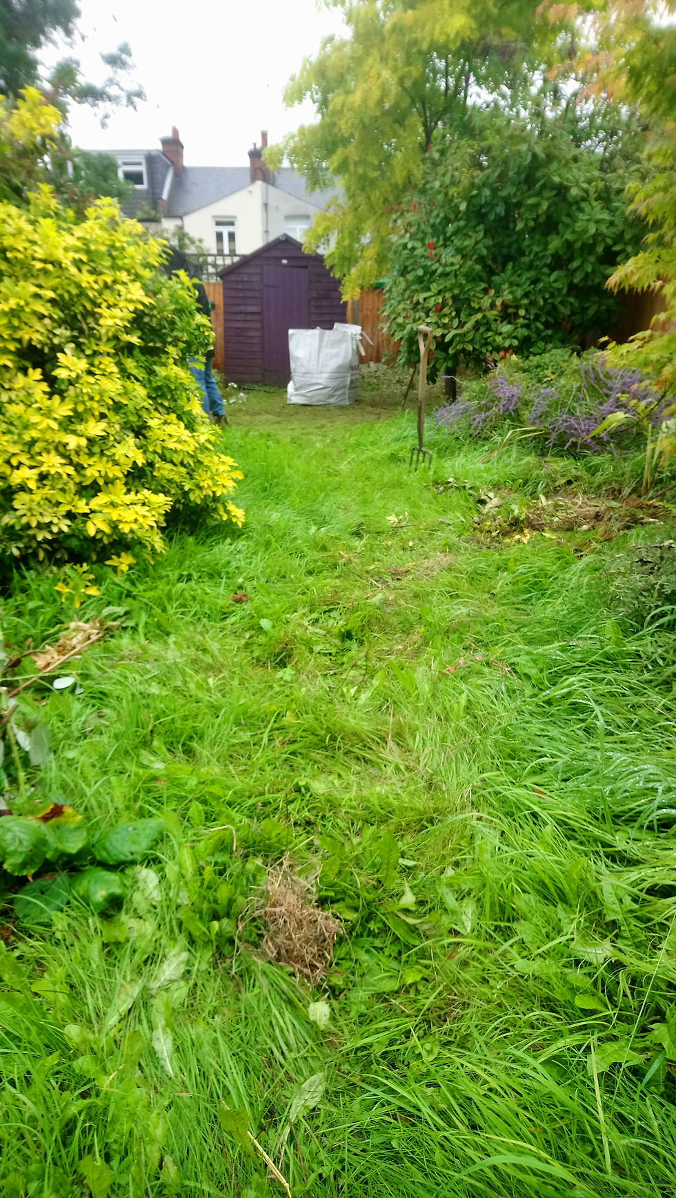 Garden clearance