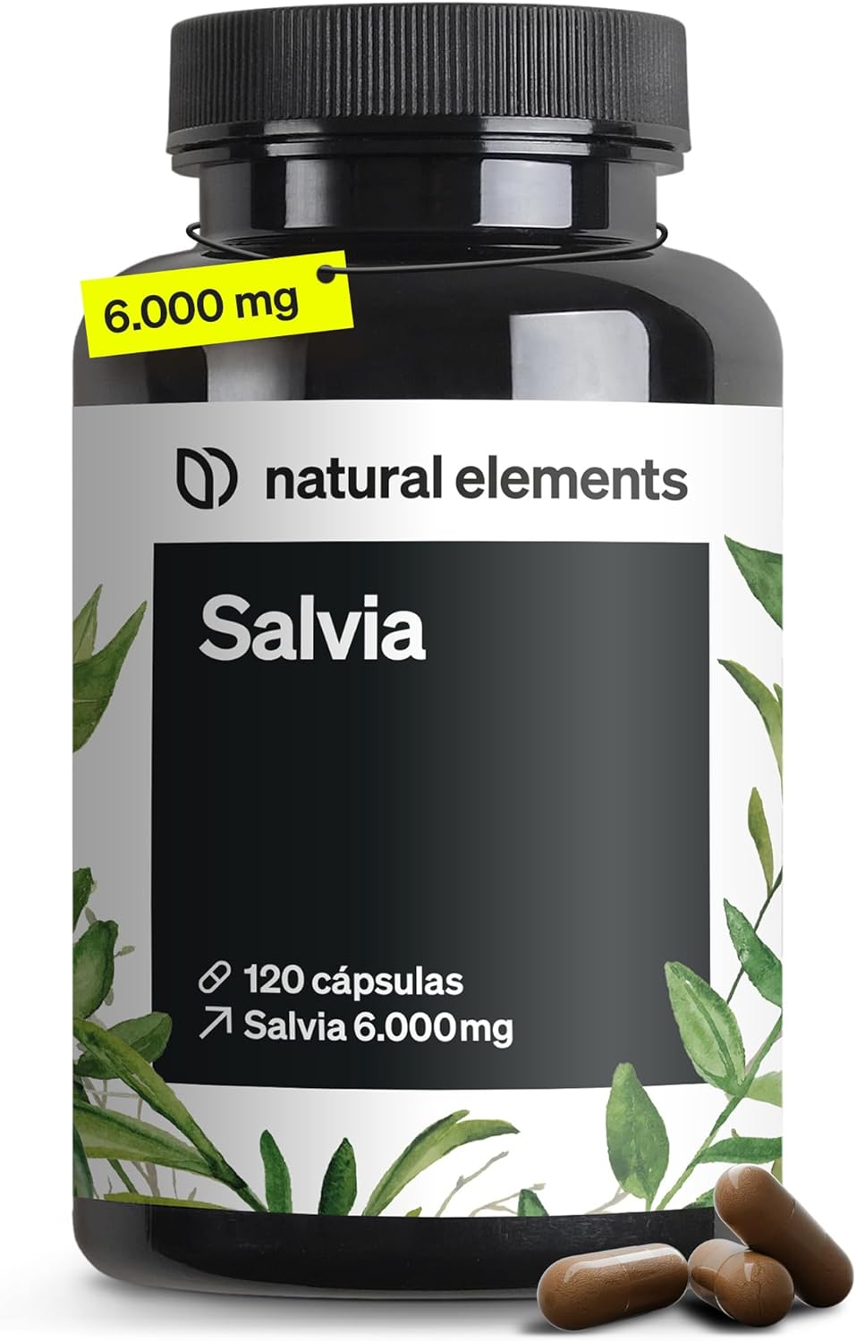 Salvia 6.000 Mg - 120 Cápsulas Veganas Para 4 Meses - Extracto 10:1 De Alta Dosi