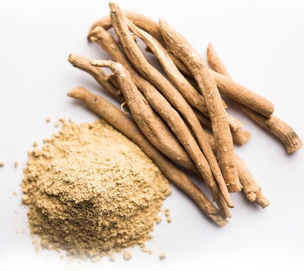 Miniatura: Ashwagandha En Polvo BIO 500G | 100% Withania Somnífera Orgánica, Ginseng Indio,