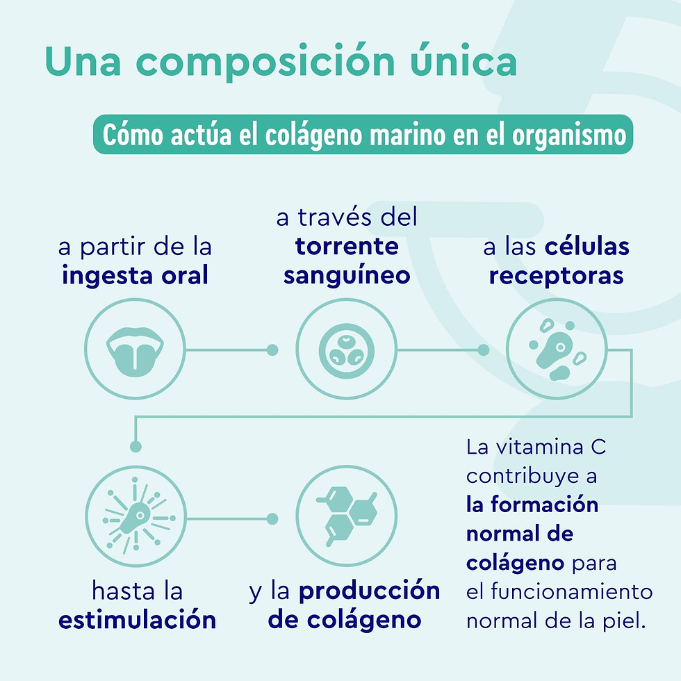 Miniatura: Colágeno En Polvo 500 G - Colageno Hidrolizado Puro (Tipo I, III) - Péptidos Bio
