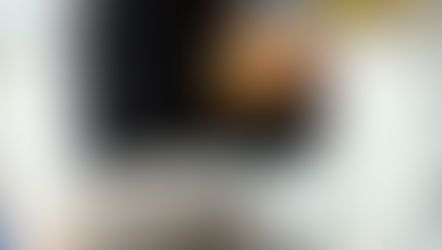 3月26日(木)竿頭248匹!