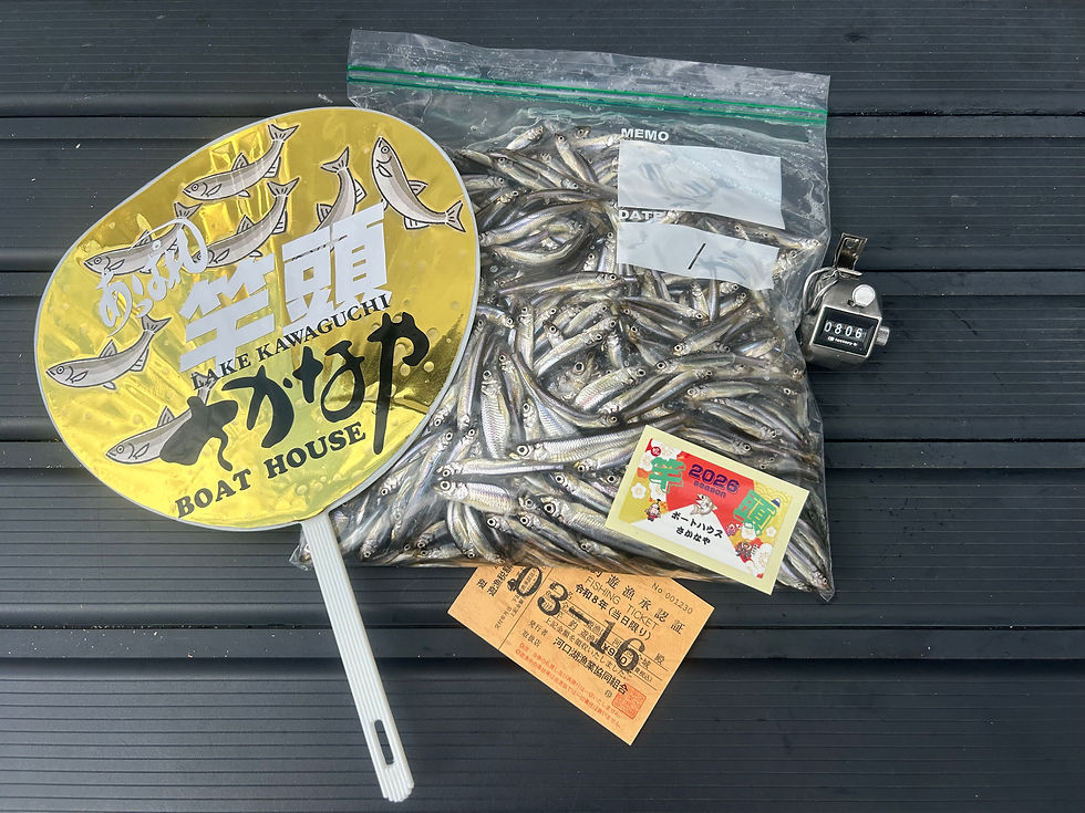 3月16日（月）竿頭806匹！