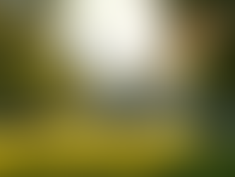 Élections Municipales 2026: Soutenez notre Candidature