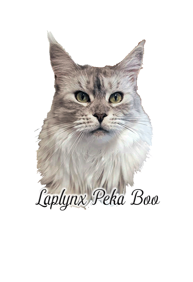 peka (1).gif