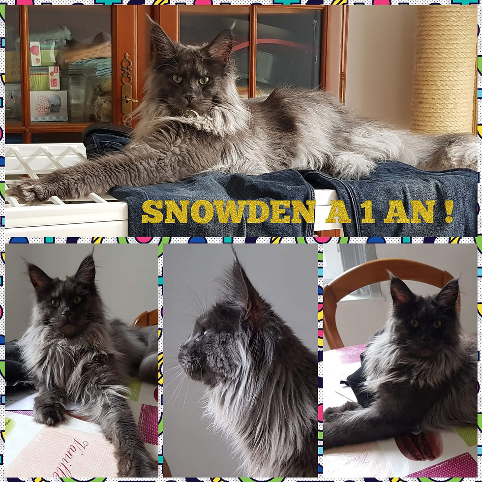 Snowden