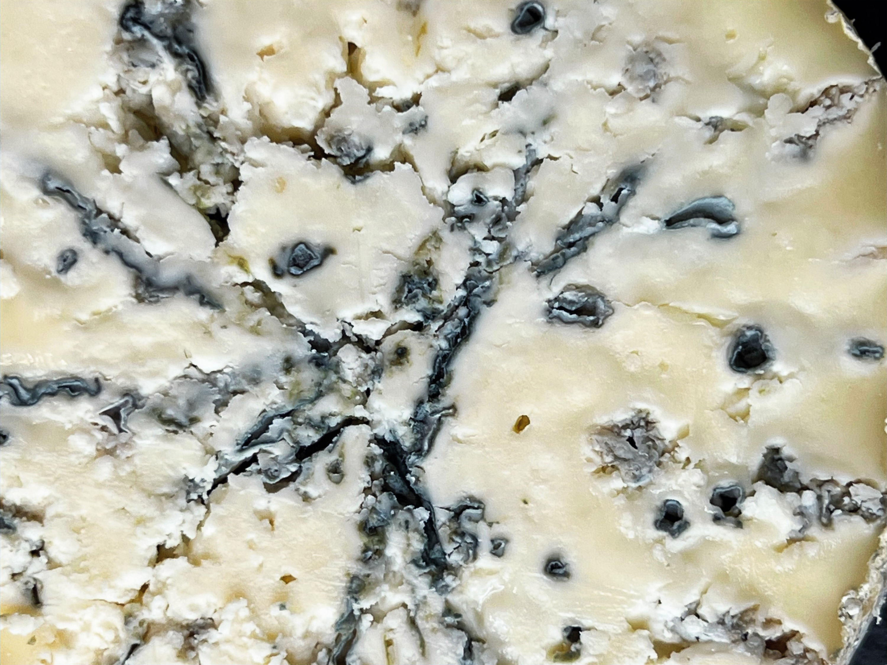 Темно синя/зелена пліснява Sigma 18