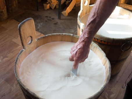 Як почати варити сир вдома з нуля: покроковий гід для початківців