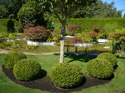 jardines ornamentales