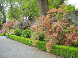 diseños paisajisticos