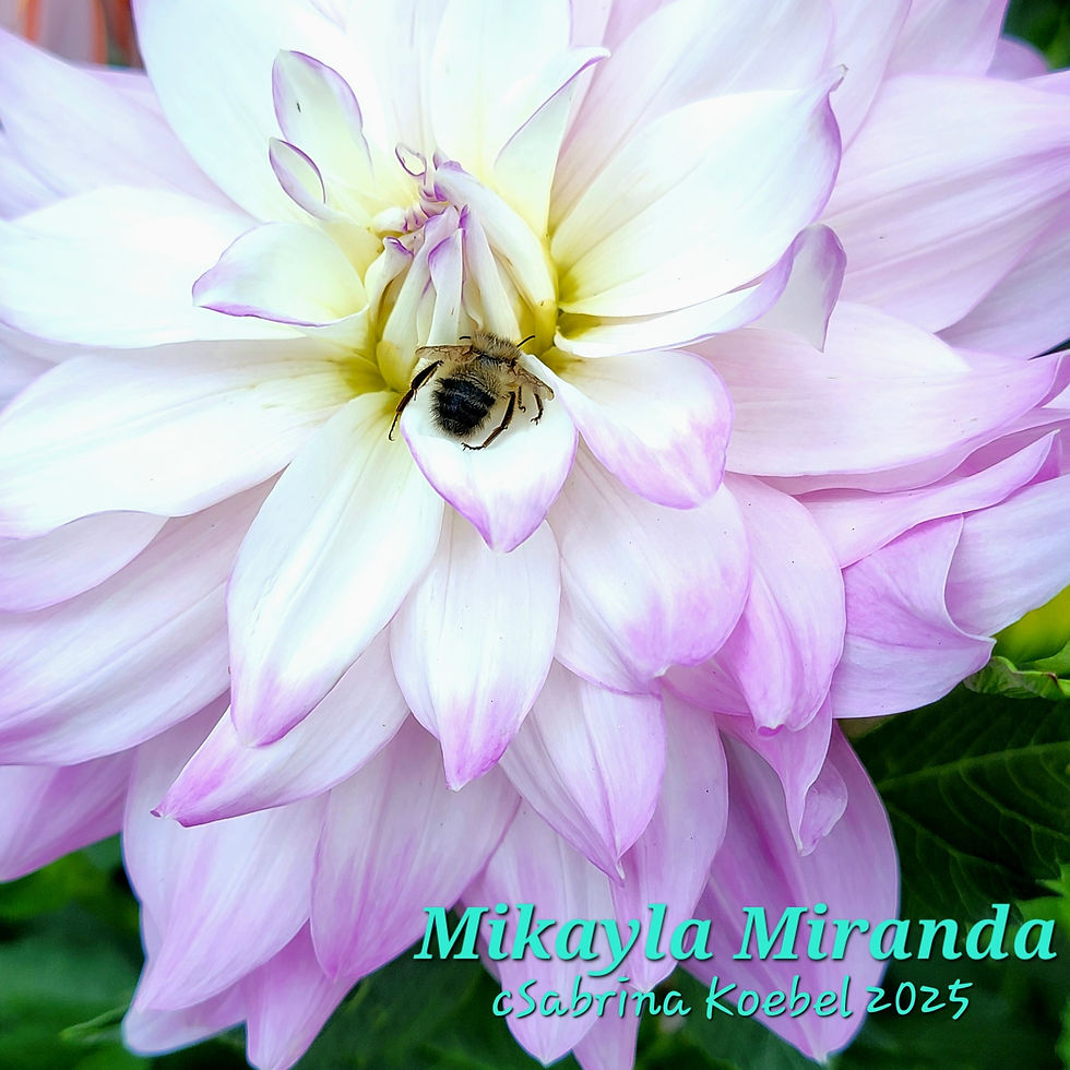 Thumbnail: Mikayla Miranda