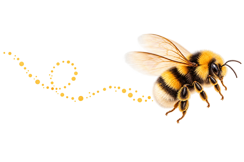 Whimsical Bumblebee Flight Path.png
